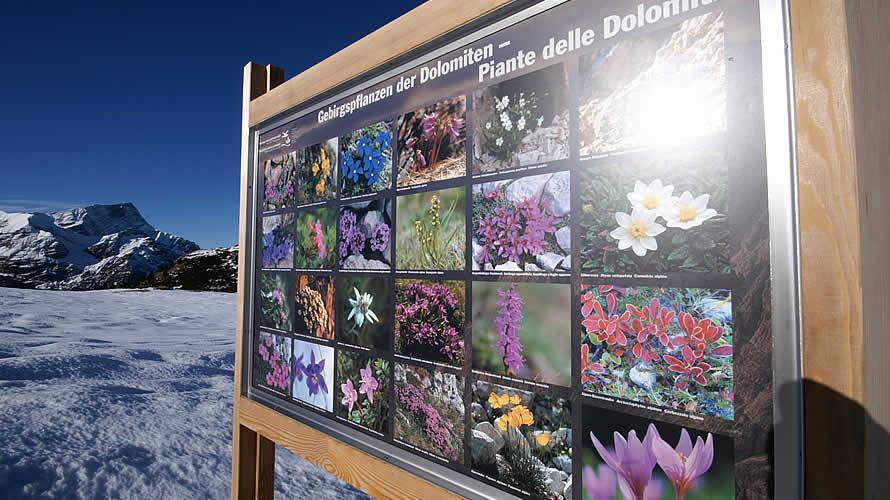 Natural park visitor center Fanes-Senes-Braies